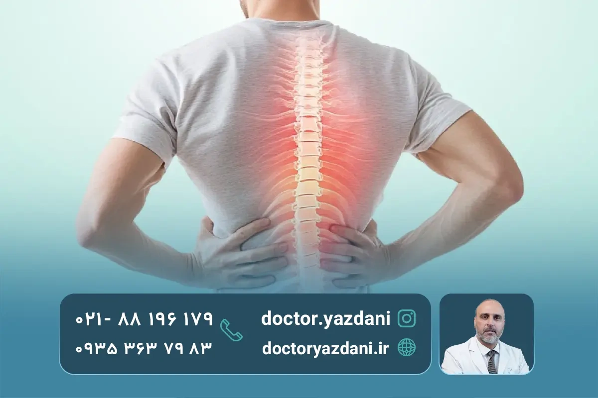 انواع دیسک کمر