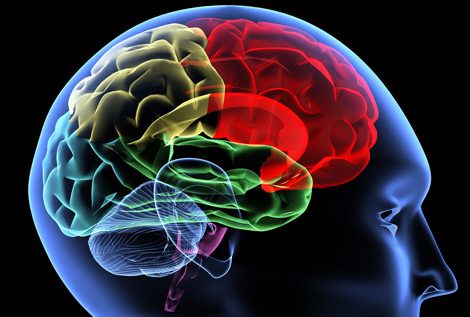 علائم سکته مغزی چیست: درمان اورژانسی و توانبخشی پس از آن
